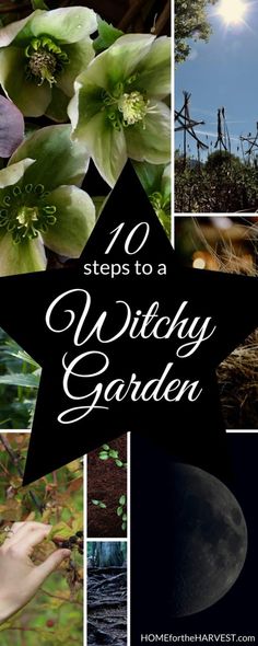 a collage of photos with the words 10 steps to a witchy garden