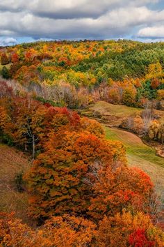 an aerial view of colorful trees in the fall