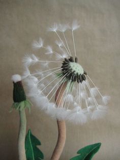 a dandelion with green leaves and white feathers on it's head is shown