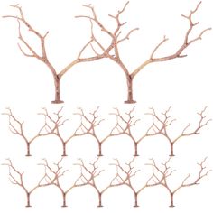 four branches with no leaves on them