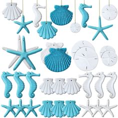 various sea shells and starfishs hanging from strings on a white background, including one in the shape of a shell