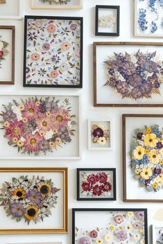 many framed flowers are displayed on the wall