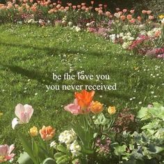 a field full of flowers with the words be the love you've never received