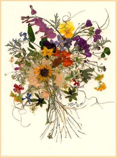 a bouquet of flowers is shown on a white background with an orange border around it