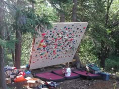 there is a rock climbing wall in the woods