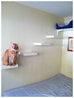 an orange cat sitting on top of a white shelf next to a blue and white bed