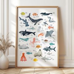 a poster with different types of sea animals on it in front of a white wall