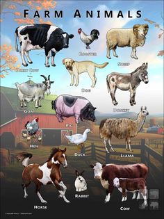 the farm animals are depicted in this poster