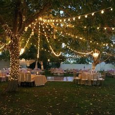 Night Outdoor Wedding Reception, Simple Outdoor Spring Wedding, Vintage Outside Wedding, Wedding Cheap Ideas, Backyard Garden Party Wedding, Igloo Decor, Wedding Reception Menu Ideas, Reception Menu Ideas, Cheap Wedding Reception Ideas