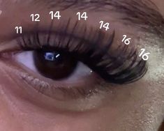 #lashes #lashextensions #lashmap Lash Layout Clusters, 16 Mm Lash Map, 50d Lash Map, 9-16 Mm Lash Map, Lash Map 16mm, 10-18mm Lash Map, Lash Map With Clusters, Pawotence Lash Map, Lash Maps Wispy