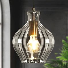 a clear glass light fixture hanging from a ceiling in a room with a potted plant