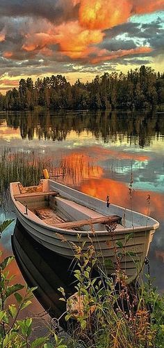 a small boat sitting on top of a lake next to tall grass and trees in the background