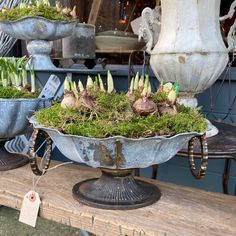 an old metal bowl filled with plants on top of a wooden table in front of a store