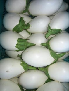 several white eggs with green leaves on them