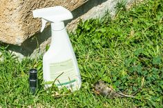 a spray bottle sitting on the grass next to a wall