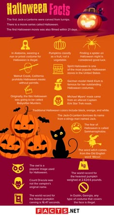 halloween info sheet with pumpkins, bats and other things to do in the fall