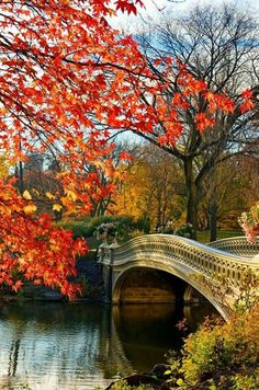 a bridge over a river surrounded by trees with red leaves