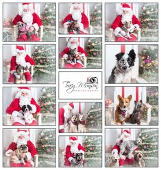 there are many pictures of santa with dogs