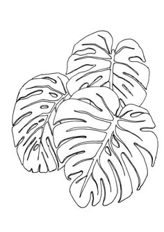 a black and white drawing of a plant