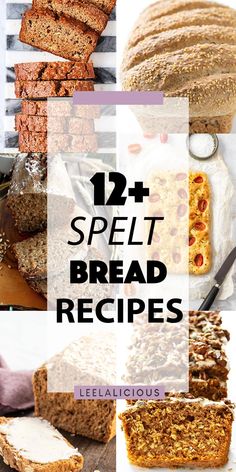 twelve different breads with text overlay that reads, 12 speltt bread recipes