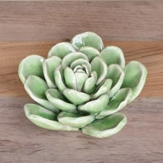 a succulent plant sitting on top of a wooden table next to a piece of wood