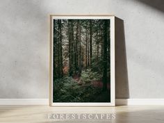 an image of a forest scene framed in a wooden frame on the wall above a hardwood floor