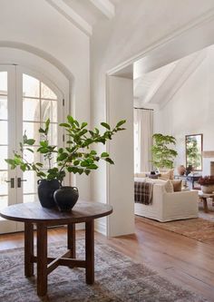 a living room filled with furniture and a potted plant on top of a table