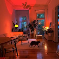 a cat walking across a living room floor