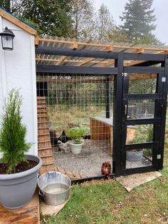 an outdoor chicken coop with plants in it