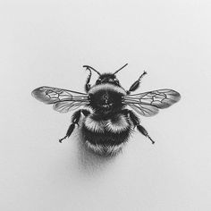 Vibrant Bumble Bee Tattoo Master Files Open Wing Bee Tattoo, Black And White Bumble Bee Tattoo, Men’s Bee Tattoo, Fuzzy Bee Tattoo, Bumble Bee Tattoo Design, Honeybee Tattoo, Tattoo Bee, Firefly Tattoo