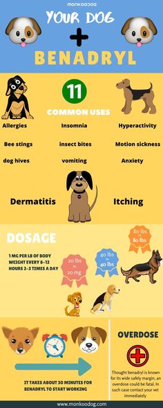 an info poster showing different types of dogs