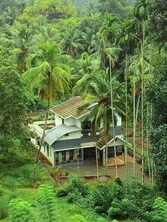 the house is surrounded by lush green trees