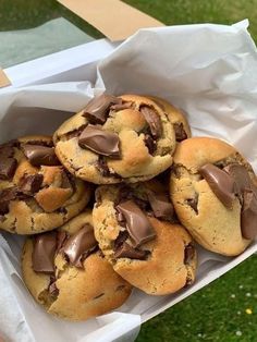 chocolate chip cookies in a white paper container on the grass with one bite taken out