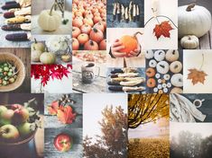 a collage of different pictures with pumpkins, leaves and other autumn items in them