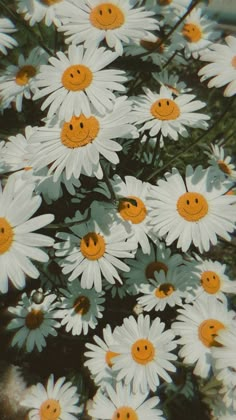 a bunch of white daisies with smiley faces on them