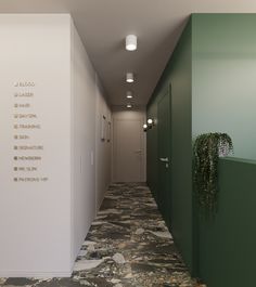 a long hallway with green walls and white doors leading to another room that has a plant on the wall