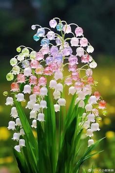 a bunch of flowers that are sitting in the grass