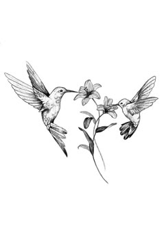 two hummingbirds flying next to each other