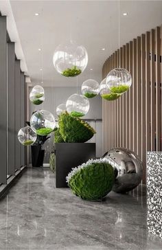 an office lobby with plants and balls hanging from the ceiling