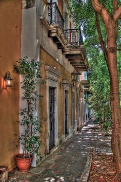 an alley way with potted plants and trees