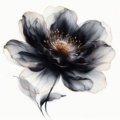 a black and white flower on a white background