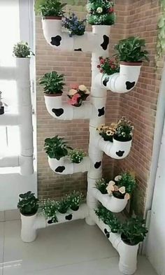 there are many potted plants on the wall