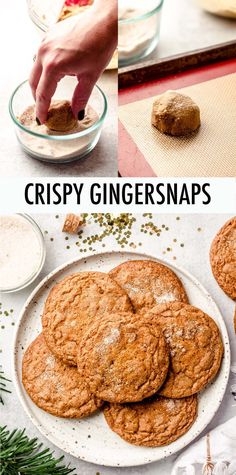 crispy ginger snaps cookies on a white plate