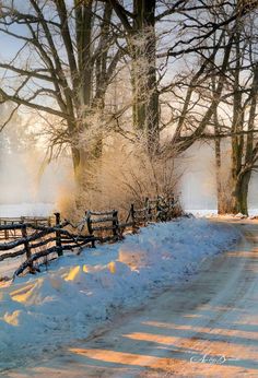 a snow covered road next to a wooden fence and trees with no leaves on it