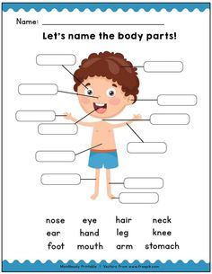 the body parts worksheet with an image of a child's face and hands