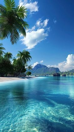 the water is crystal blue and clear with palm trees in it's foreground