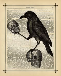 a black bird sitting on top of a human skull next to a skeleton in a book