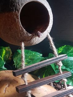 a bird feeder hanging from the side of a wooden pole next to some plants and leaves