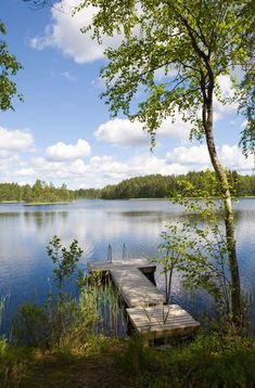 a wooden dock sitting in the middle of a lake next to a lush green forest