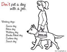 a drawing of a woman walking her dog with a sign on it that says, don't pet a dog with a job